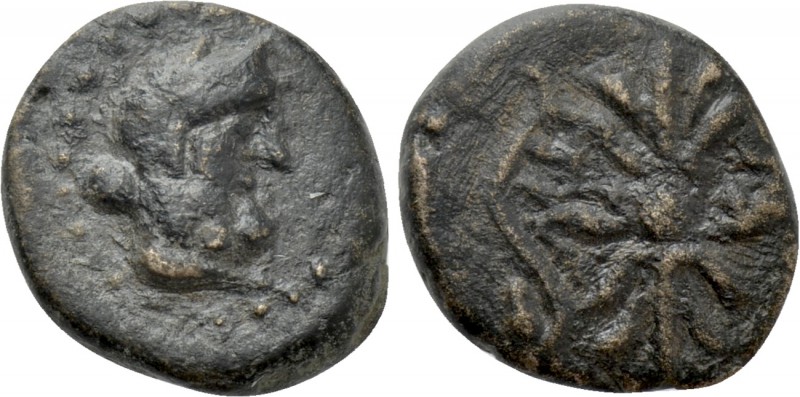 MYSIA. Parion. Ae (2nd-1st centuries BC). 

Obv: Laureate head of Zeus right, ...