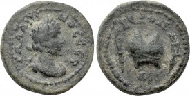 CILICIA. Hierapolis-Castabala. Gallienus (253-268). Ae.
