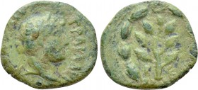 CYRRHESTICA. Beroea. Hadrian (117-138). Ae.