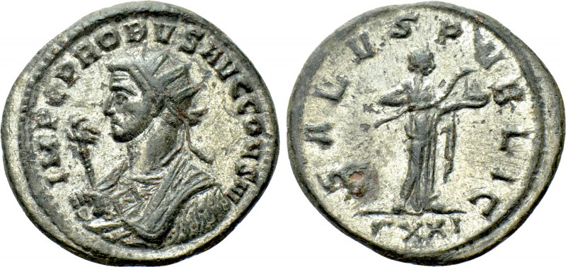 PROBUS (276-282). Antoninianus. Ticinum. 

Obv: IMP C PROBVS AVG CONS III. 
R...