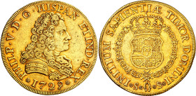 1729. Felipe V. Sevilla. 8 escudos. (AC. 2303) (Cal.Onza 526). PHILP. Sin indicación de valor ni ensayador. Precioso color. Rara. 26,89 g. EBC-.

17...