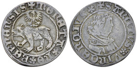 Bern, AR Dicken o.J. (1483-1492)