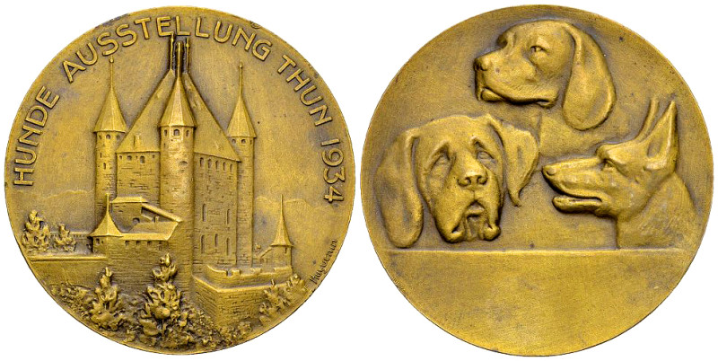 Thun, AE Medaille 1934, Hunde-Ausstellung 

Schweiz, Bern. Thun. AE Medaille 1...