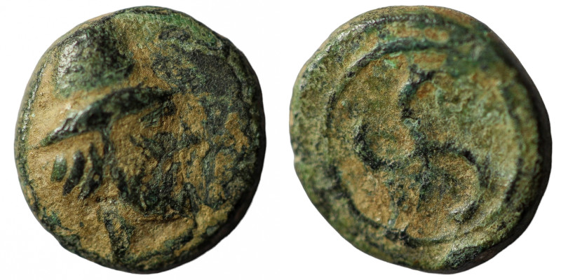 Troas, Birytis. Ae, 0.99 g 10.06 mm. 4th-3rd centuries BC.
Obv: Bearded head of...