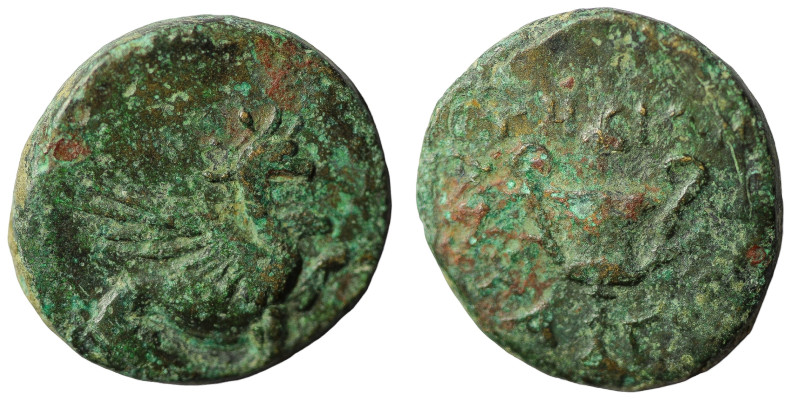 IONIA, Teos. Circa 370-330 BC. Æ . Polythrous, magistrate. Griffin seated right,...