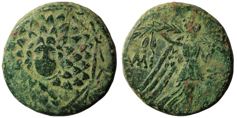 Pontos, Amisos. Mithradates VI (120-63 BC) AE local civic issue under Mithradate...