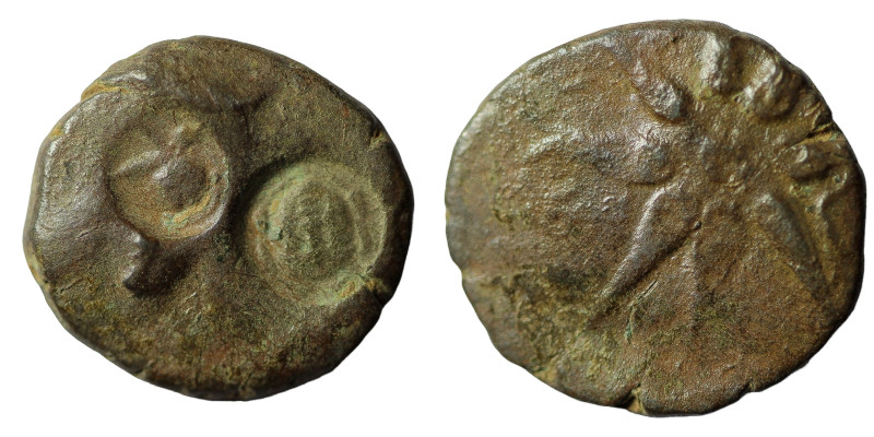 Pontos, Uncertain (Amisos?) AE ca 130-100 BC
Obv: Male head right, wearing satr...