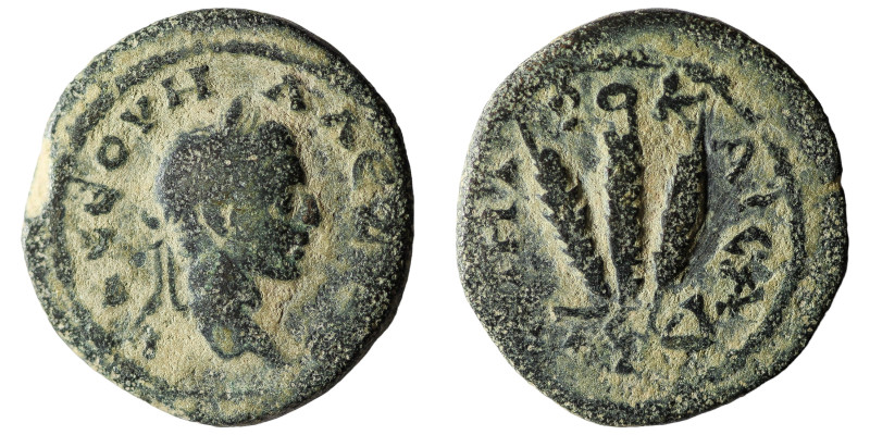 CAPPADOCIA, Caesarea. Severus Alexander, 222-235 AD. Æ 20 Laureate head / Three ...