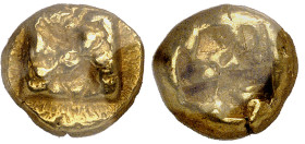 Ionie

Hecté en électrum (625-600)

 Swastika.

 2.77g - SNG von Aulock 1777

 TTB à Superbe – NGC Choice XF (4/5 et 3/5)