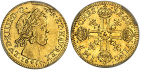 France

Louis XIV (1643-1715)

Louis d'or à la mèche courte - 1645 A Paris

Magnifique exemplaire, très rare en MS.

Le deuxième plus haut gra...
