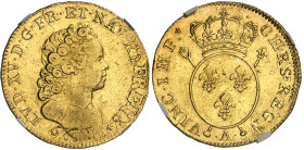 France

Louis XV (1715-1774)

 Double louis d'or aux insignes - 2ème type - 1716 A Paris

 Flan réformé.

 D'une insigne rareté.

 Le seul e...