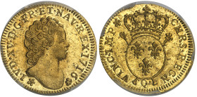 France

Louis XV (1715-1774)

Louis d'or aux insignes - 1716 Q Perpignan - Réformation

Rarissime et d'une qualité remarquable pour ce monnayage...
