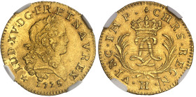 France

Louis XV (1715-1774)

Louis d'or Mirliton aux palmes longues - 1725 H La Rochelle

Légèrement nettoyé.

6.52g - L4L. 466 - G. 339 - Fr...