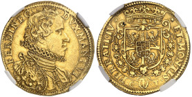 Italie - Mantoue

Ferdinand Gonzague (1612-1626)

2 doppie en or - ND

Très rare et magnifique exemplaire.

 13.06g - KM 91 - Fr. 560

Super...