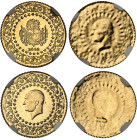 Turquie

République (1341 AH à nos jours / 1923 à nos jours) 

25 kurush en or émission de luxe - 2006 

Frappes unifaces de l'avers et du rever...