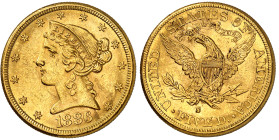 USA

République fédérale (1789 à nos jours)

 5 dollars en or – 1886 S San Francisco

 8.36g – KM 101 - Fr. 145

 Pratiquement FDC - MS...