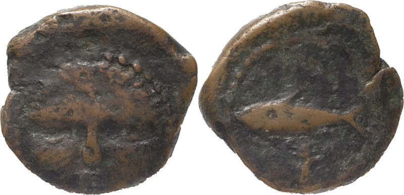 Ancient Hispania
Agadir, Phoenician. AE 1/2 Calco 2.69 g. 200-100 BC. . Anv.: He...