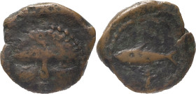 Ancient Hispania
Agadir, Phoenician. AE 1/2 Calco 2.69 g. 200-100 BC. . Anv.: Head facing ahead. Rev.: Tuna to left, on top of a Phoenician letter.FAB...