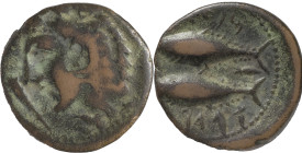 Ancient Hispania
Gades/Gadir (Cádiz), Phoenician influence on coinage made within Roman Hispania. AE Semis 4.09 g. 100-20 BC. . Anv.: Hercules head fa...