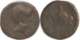 Ancient Hispania
Carisa (Cádiz), Southern Spain coinage made within Roman Hispania. AE Semis 6.24 g. 50 BC. Anv: Male head right. Rev: Horse rider lef...