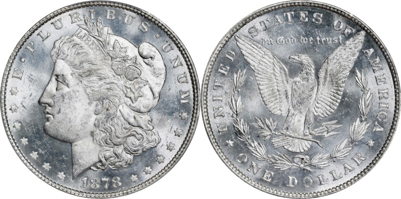 1878 Morgan Silver Dollar. 8 Tailfeathers. VAM-23. Top 100 Variety. Doubled Prof...