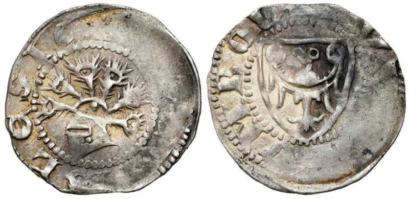 Medieval coins 
607

Śląsk. Księstwo Ziębickie. Bernard, Henryk, Bolko II (13...