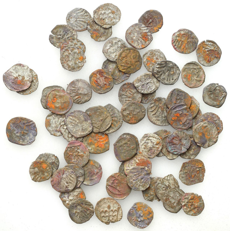 Medieval coins 
607

Denary Jagiellońskie, Kraków / Cracow, set 66 pieces 
...