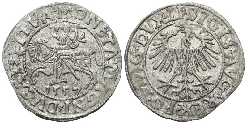 Sigismund II August
POLSKA/ POLAND/ POLEN / POLOGNE / POLSKO / LITHUANIA / Viln...