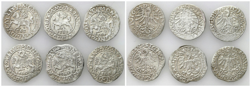 Sigismund II August
POLSKA/ POLAND/ POLEN / POLOGNE / POLSKO / LITHUANIA / Viln...