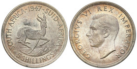 Great Britain
Great Britain/South Africa. George VI (19361952). 5 shillings 1947, Pretoria 

Pięknie zachowane.

Details: 28.3 g .800 
Condition...