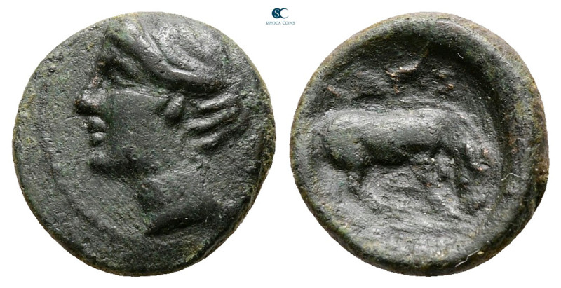 Thessaly. Larissa circa 350-300 BC. 
Bronze Æ

13 mm, 1,88 g



Nearly Ve...