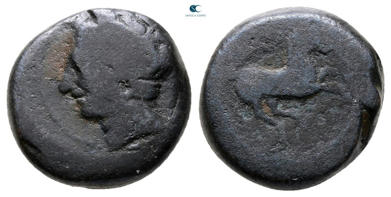 Zeugitana. Carthage circa 400-350 BC. 
Bronze Æ

15 mm, 4,21 g



Fine