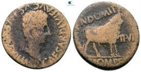 Hispania. Celsa. Augustus 27 BC-AD 14. Cn. Domitius and C. Pompeius, duoviri. Bronze Æ