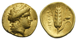 LUCANIA. Metapontum. Time of Alexander the Molossian, circa 334-330 BC. Tetrobol or Third Stater (Gold, 13.50 mm, 2.57 g), Achaian standard. Head of H...