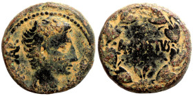 Augustus, 27 BC-14 AD

23mm 9,85g