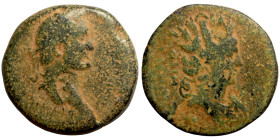 Antoninus Pius 138-161 Bronze Rome

26mm 10,35g
