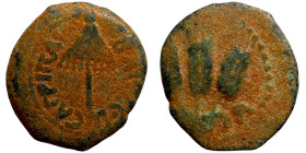 JUDEA. Herodian Kingdom. Agrippa I (37-44 CE). Jerusalem.AE Prutah

17mm 2,52g