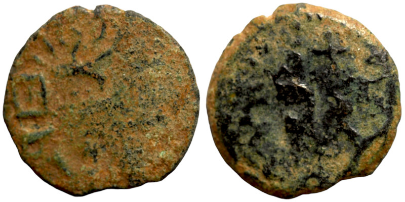 Judaea bronze coin

15mm 1,64g