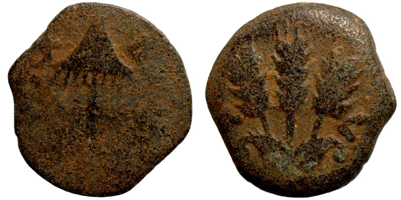 JUDEA. Herodian Kingdom. Agrippa I (37-44 CE). Jerusalem.AE Prutah

15mm 2,14g