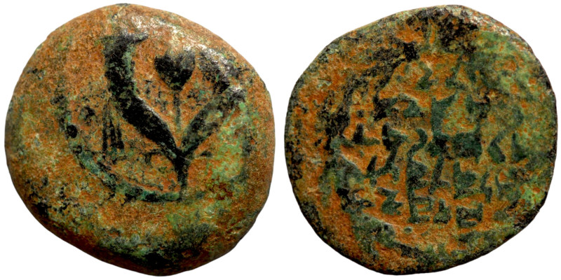 Judaea bronze coin

14mm 1,83g