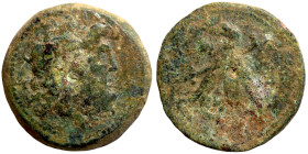 Greek coins Bronze 1-4 Century BC

30mm 22,09g