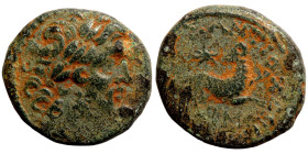 Greek coins Bronze 1-4 Century BC

20mm 7,44g