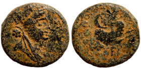 Greek coins Bronze 1-4 Century BC

19mm 5,51g