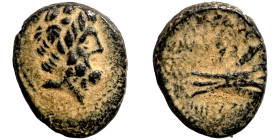 Greek coins Bronze 1-4 Century BC Artifically patinated

15mm 3,08g