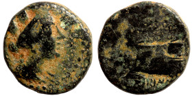 Greek coins Bronze 1-4 Century BC

14mm 2,96g