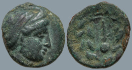 AEOLIS. Elaia (Circa 133-0 BC)
AE Bronze (13.8mm 1.47g)
Obv: Head of Demeter right
Rev: Poppy within wreath of corn-ears.
SNG Copenhagen 179-180.