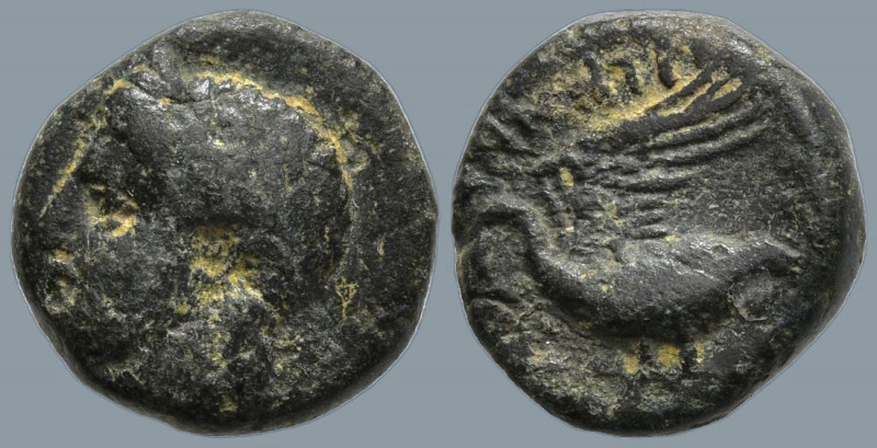 IONIA. Klazomenai. (Circa 386-301 BC).
AE Bronze (10.6mm 1.35g)
Obv: Head of A...