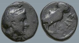 TROAS. Sigeion. (4th century BC)
AE Bronze (11.1mm 1.68g)
Obv: Helmeted head of Athena right.
Rev: ΣΙΓΕ. Owl standing right, head facing.
BMC 19-2...