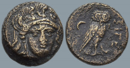 TROAS. Sigeion. (Circa 355-334 BC).
AE Bronze (12.8mm 2.02g)
Obv: Head of Athena facing slightly to right, wearing triple-crested helmet
Rev: Owl s...