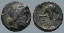 AEOLIS. Temnos. (4th century BC)
AE Bronze (9.3mm 0.69g)
Obv : Laureate head of Zeus right.
Rev : T - A. Grape bunch on vine.
BMC 1 (zeus head lef...